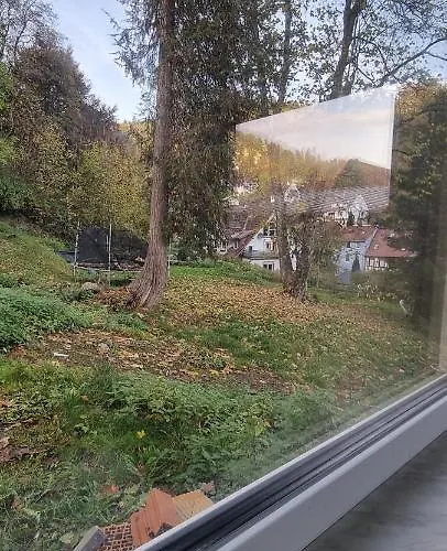 Sm * Triberg im Schwarzwald